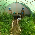 VIVERO (14)
